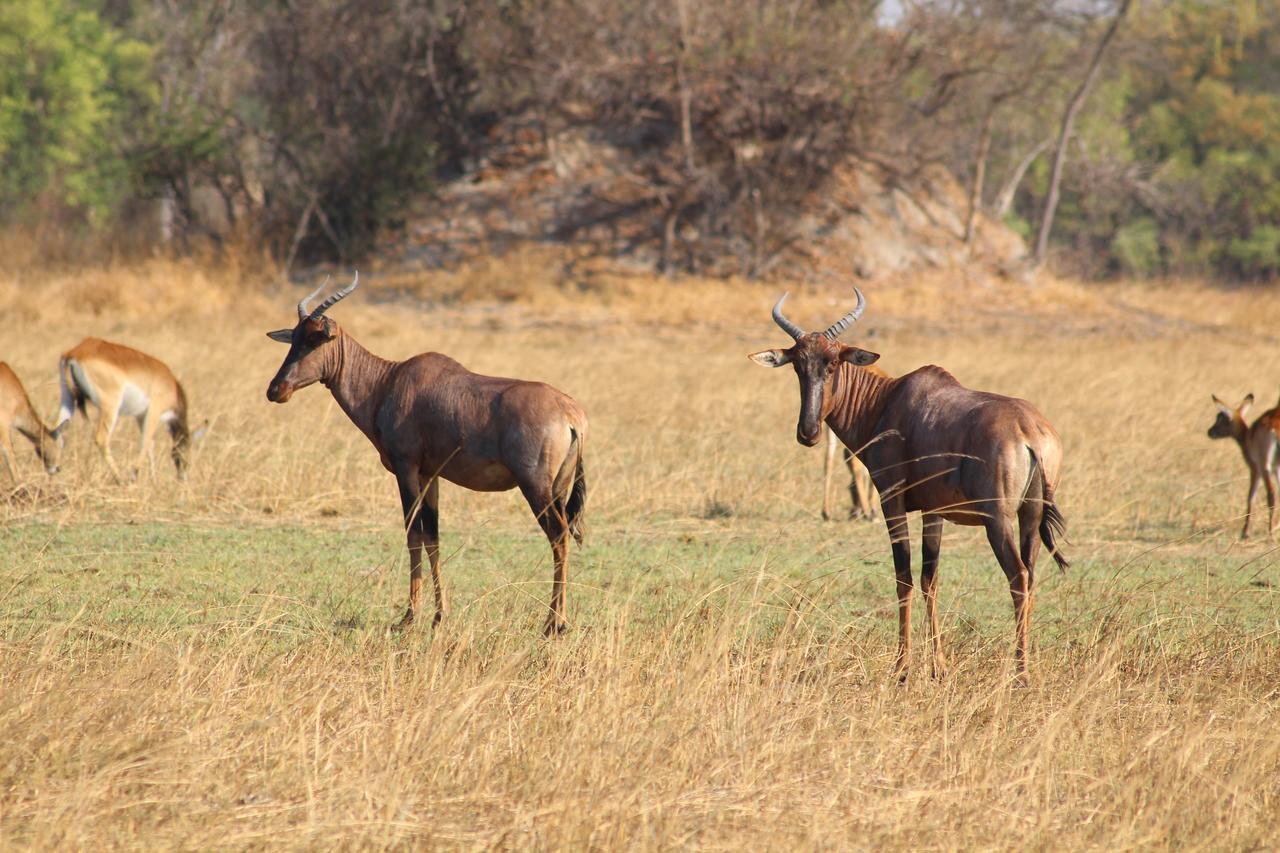 Chaminuka Lodge Lusaka Exteriör bild